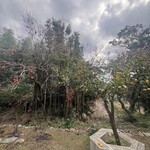 霜降山カフェ - 