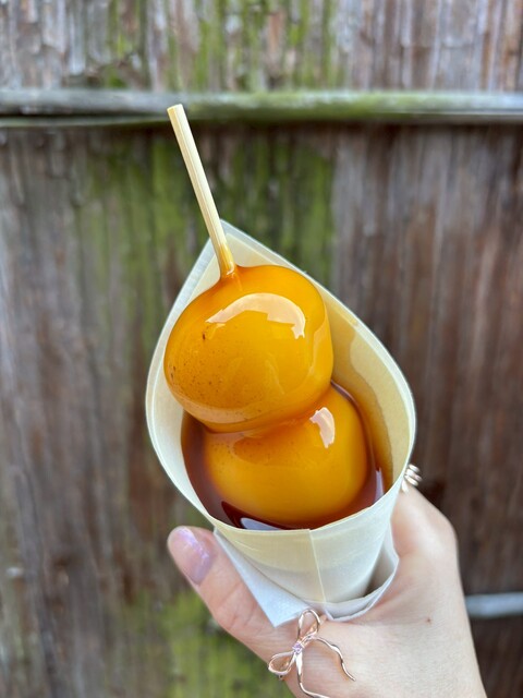 月下美人 - 祇園四条/和菓子 | 食べログ