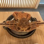 かに・ふぐ専門 蟹吉PREMIUM なんば道頓堀 - 