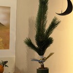 阿闍梨餅本舗 京菓子司 満月 - 