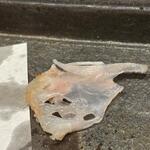 播州地酒 ひの - 河豚の河豚