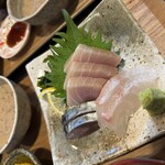 和がや食堂 - 中トロ・しめ鯖・タイ