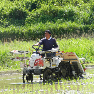 【藁焼き鰹たたき】への情熱が生んだ農業事業の展開