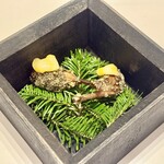 レミニセンス - 