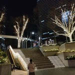 PIZZA SALVATORE CUOMO ＆ BAR - 野村ビル