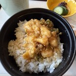 天婦羅ほり川 ホテルニューオータニ店 - 締めは天丼（小丼）にしました。