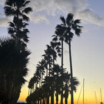 リストランテAO 逗子マリーナ - 