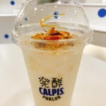 発酵 CALPIS PARLOR - 