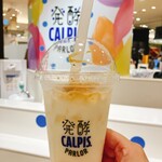 発酵 CALPIS PARLOR - 