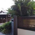 タケル クインディチ(LOQUAT) 西伊豆 - 