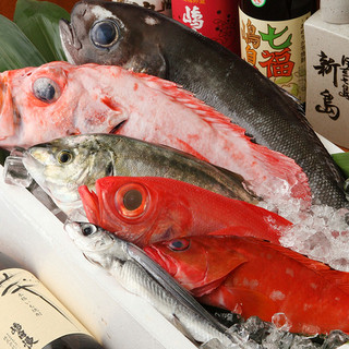 豊洲直送の鮮魚！仕入れの新鮮魚介をご提供いたします！