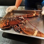 エクアトゥール - 2014.12 ピチピチ動くオマール海老が参上