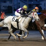 食事処　七福 - ニシノウールくんお帰りなさい。