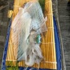 玄海いか舟処　海舟 本店