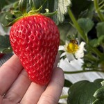 姫路ハートフル観光農園 - 