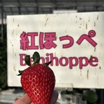 姫路ハートフル観光農園 - 