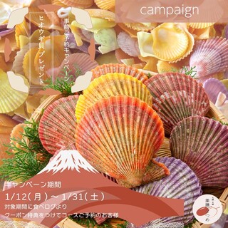 1/12～事前予約キャンペーン！愛媛県産ヒオウギ貝プレゼント