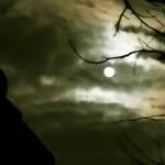 コメダ珈琲店 - 満月(ウルフムーン)＋1日目のお月さまに見守られて