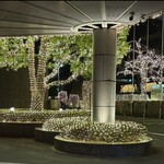 バー&ラウンジ ZATTA - 