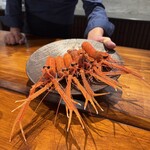 馳走西健一 - 赤座海老