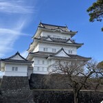 きんじろうカフェ - 城址公園から見たお城です