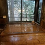 毒沢鉱泉 神乃湯 - 