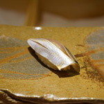 鮨 さいとう - 小鰭