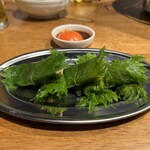 鶏焼肉はやし おいちょ - 