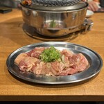 鶏焼肉はやし おいちょ - 