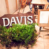 DAVIS