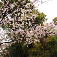 韻松亭 - 