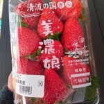 カネスエ - 料理写真:美濃娘