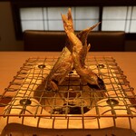 日本料理 滴水 - 琵琶湖産天然本モロコ