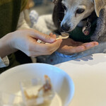 Salon de biogance cafe - 