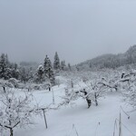 幸作りんご園 - 和合平