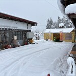 幸作りんご園 - 有人販売（2026年1月AM