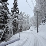 幸作りんご園 - 和合平に続く山道٩( ᐛ )و