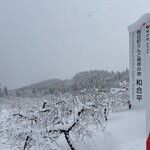 幸作りんご園 - 和合平