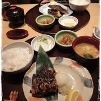 伊豆の旬 やんも 南青山店 - 