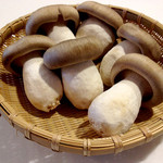 ～Produced in Tamba, Kyoto～ Daikokumoto shimeji mushrooms