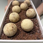 L’Atelier L’Archeste - 