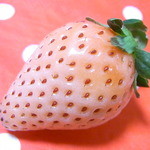 九州屋 - 料理写真:白い苺発見　タネは赤い☆♪