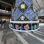 対馬のどぐろとイカ活き造り 博多 魚蔵 - 