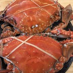 旬魚彩鮨　水仙 - 