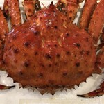 旬魚彩鮨　水仙 - 