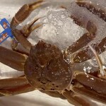 旬魚彩鮨　水仙 - 