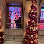 MOULIN ROUGE - 演者さんたちみな様本当に綺麗でした。また観たいです。