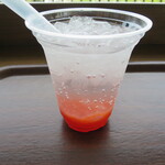 ミネ 秋吉台ジオパークセンター カルスター - 