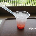 ミネ 秋吉台ジオパークセンター カルスター - 