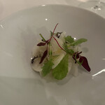 Restaurant Alliance - 